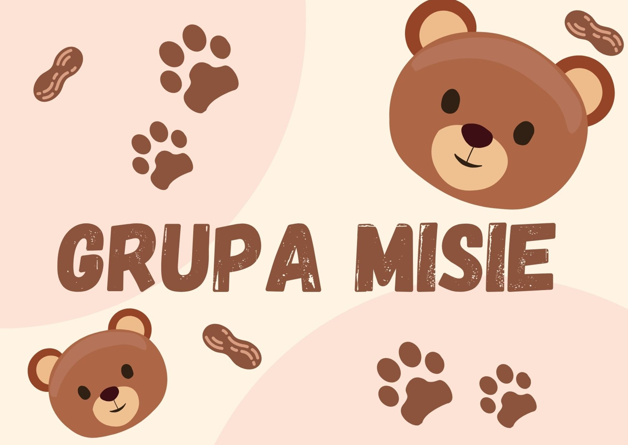 GRUPA MISIE